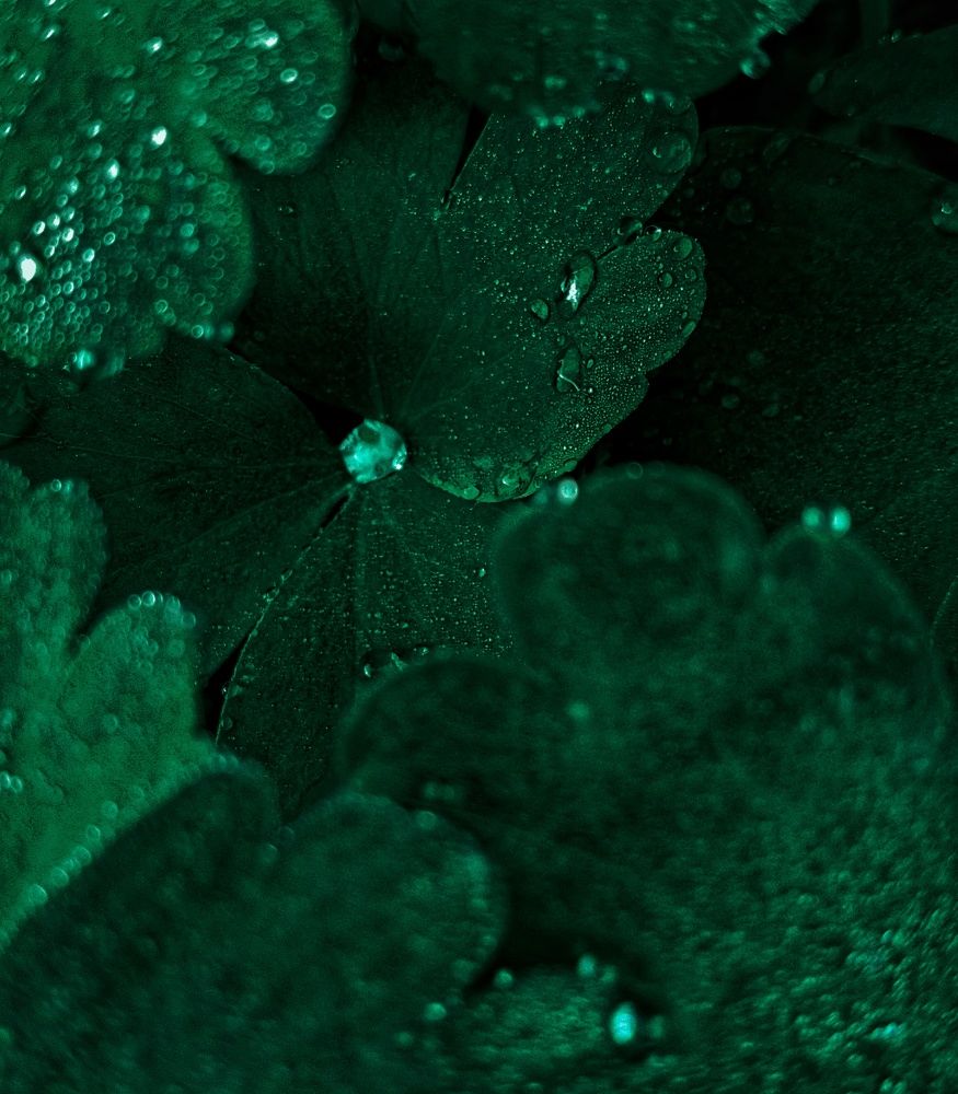 Photograph by Larisa