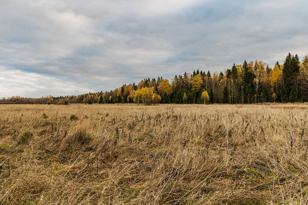 Photograph by Алексей Чеботарев