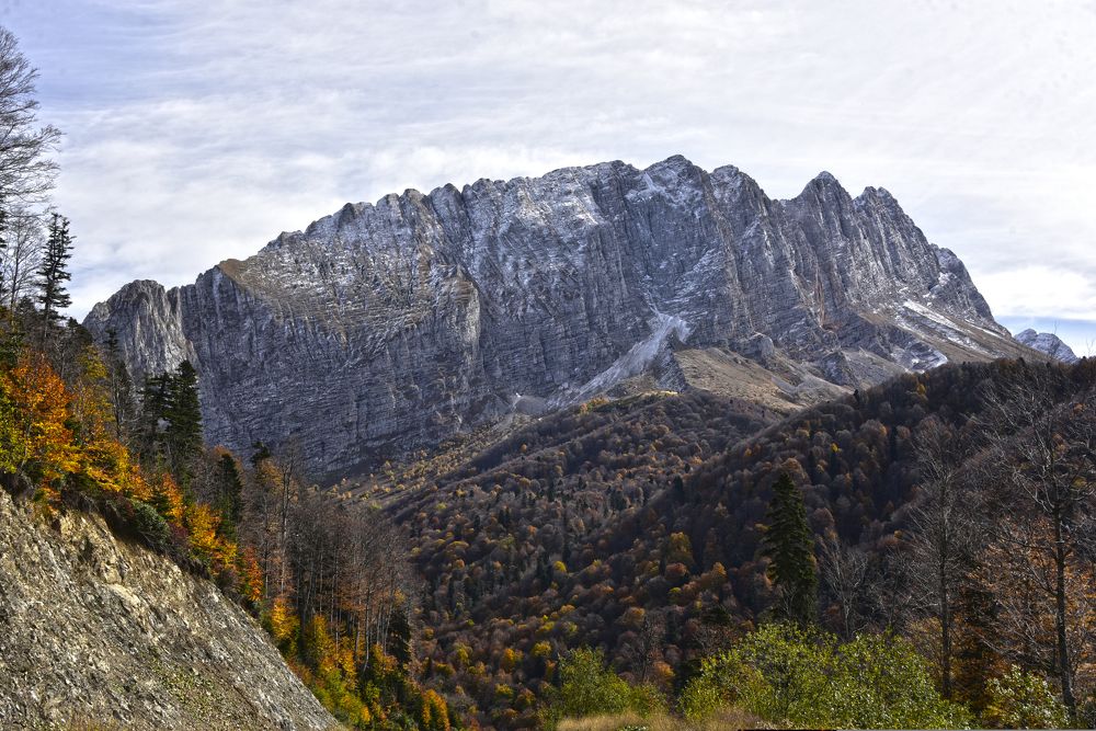 Photograph by Алексей Черкашин