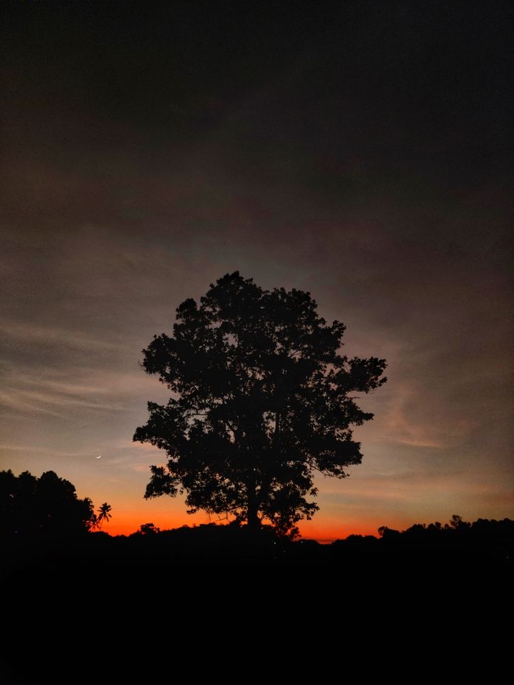 Photograph by Vishnu Prasad