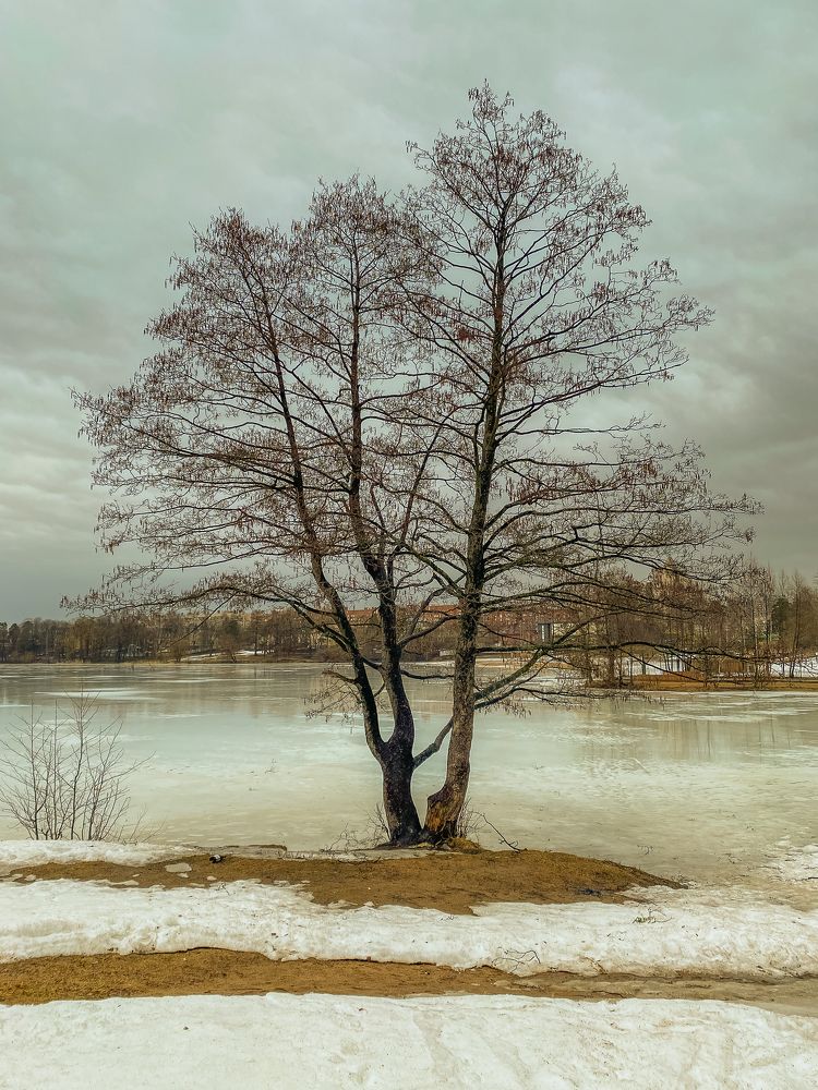 Photograph by Сергеева Марина