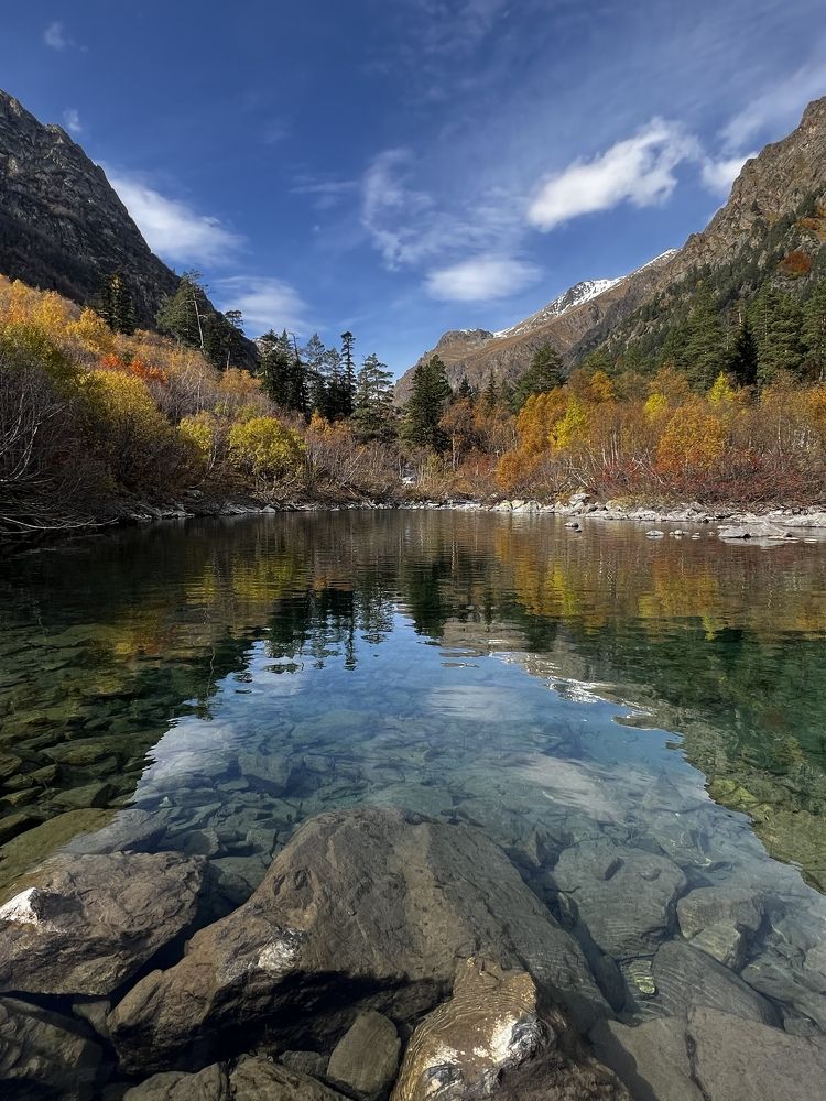 Фотография автора Юлия Недосекина