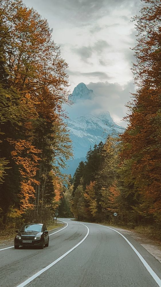 Фотография автора Юлия Недосекина