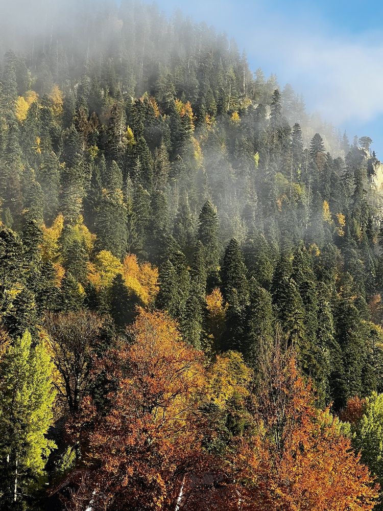 Фотография автора Юлия Недосекина