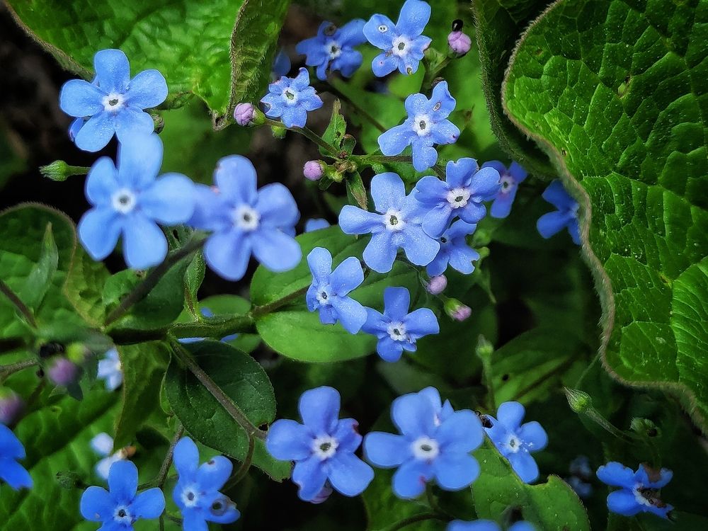 Фотография автора Ольга Игуменова