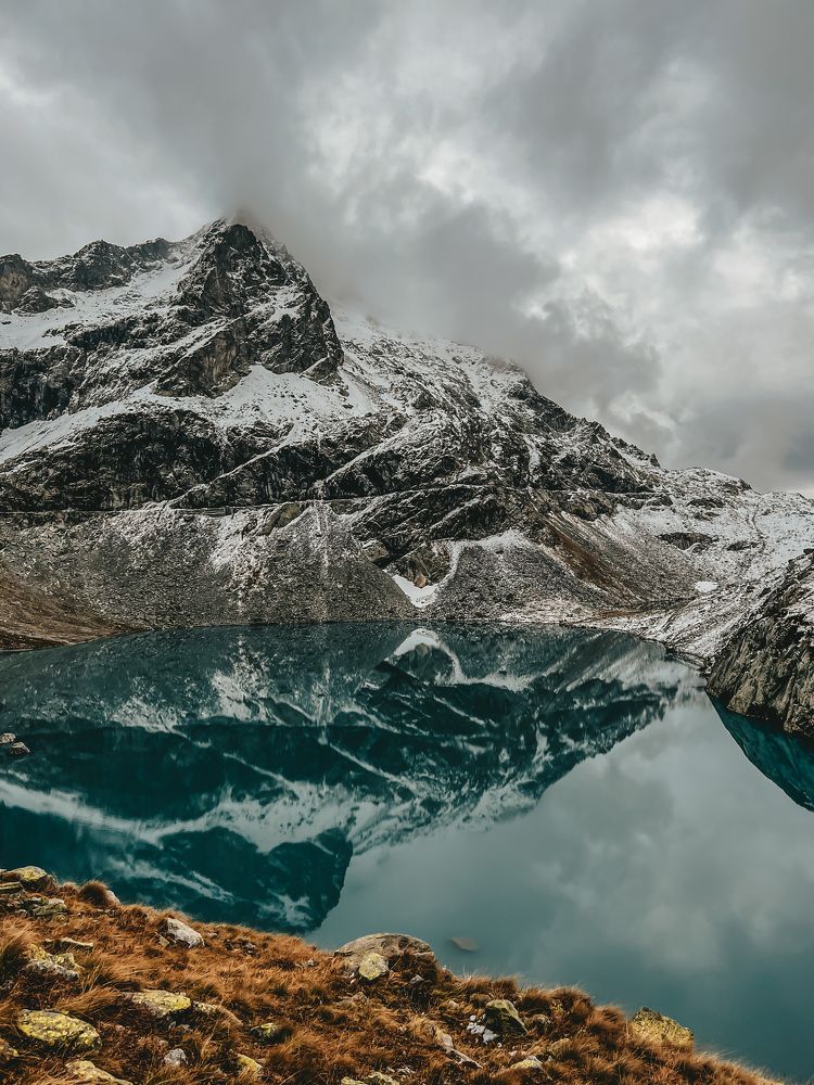 Фотография автора Юлия Недосекина