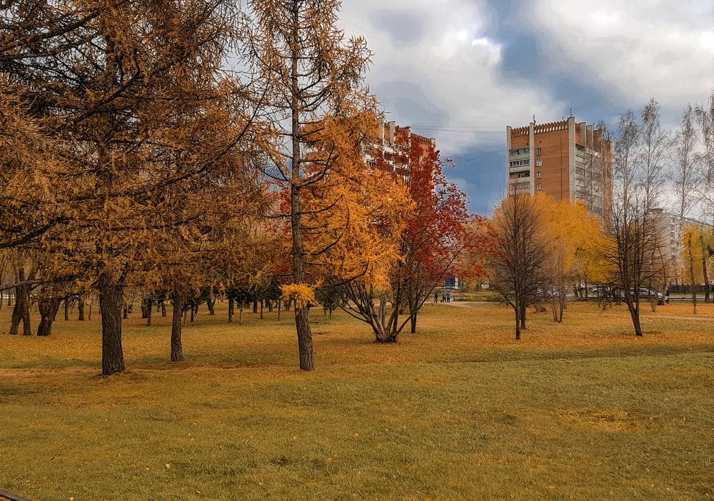 Фотография автора Максим Грибанов