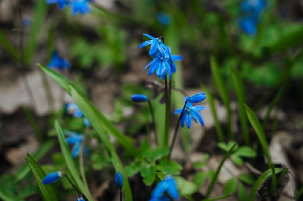 Photograph by Екатерина Чернова-Груздева