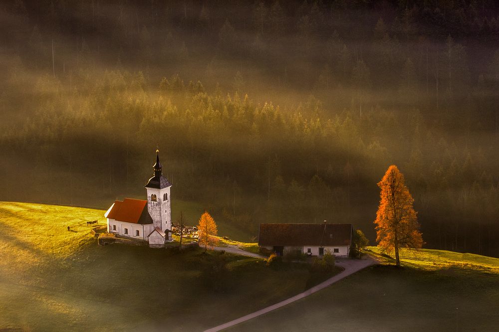 Photograph by Valentin Bițoi