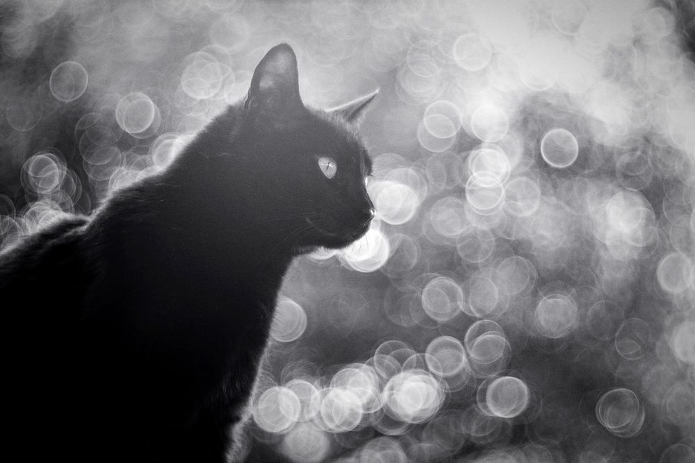 Photograph by Andrew Becker