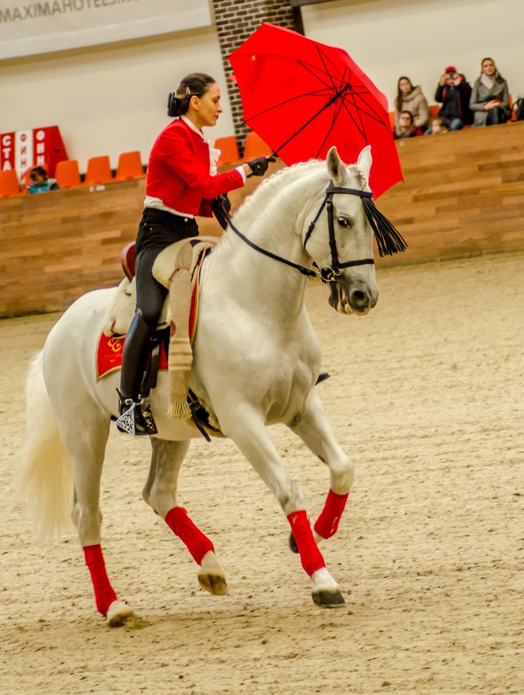 Езда в испанском стиле