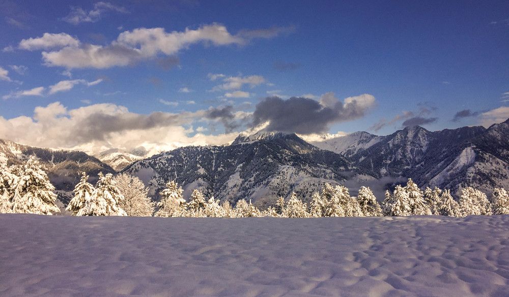 Photograph by Ahmad Bilal Cheema