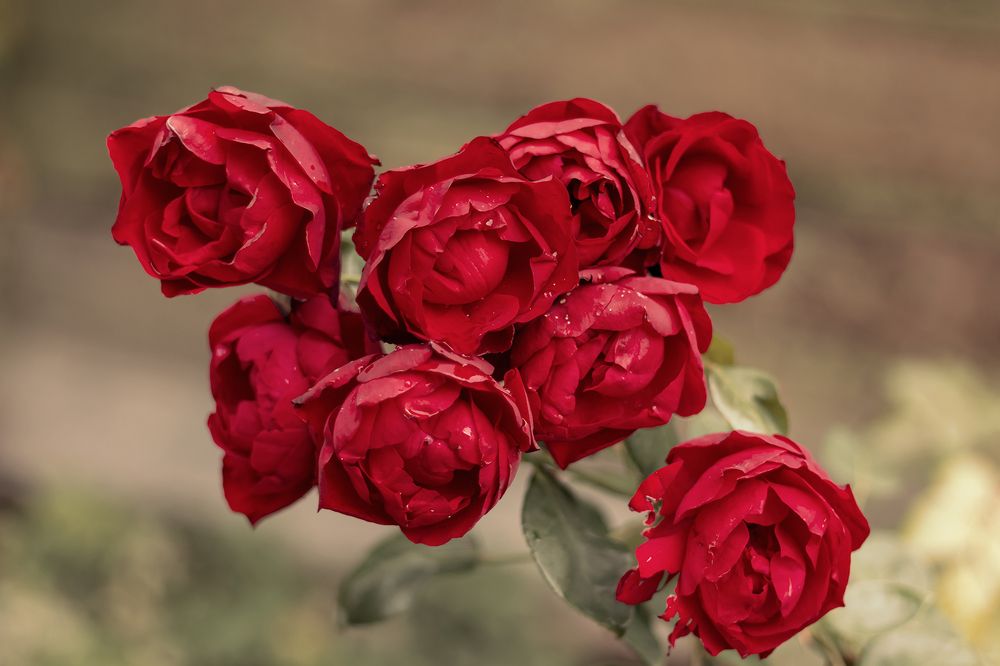 Photograph by Evgeniia Iakimenko