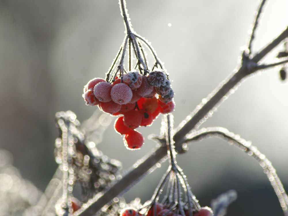 Photograph by Ольга Заповедная