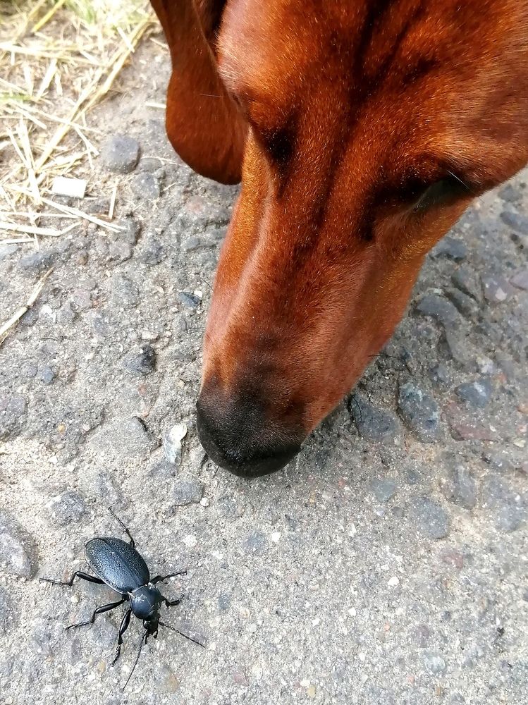 Photograph by Светлана Веселовская