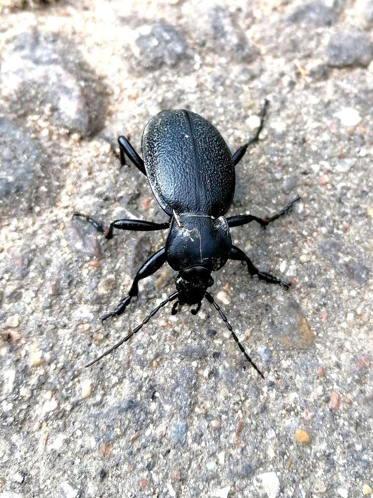 Photograph by Светлана Веселовская