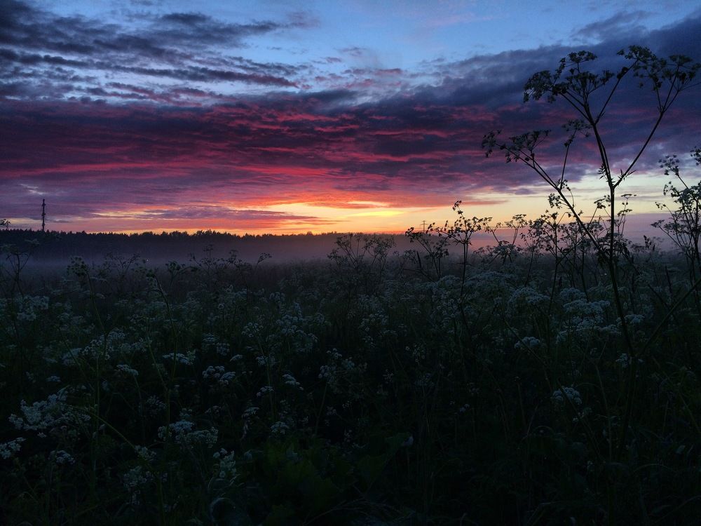Photograph by Анна Леонова