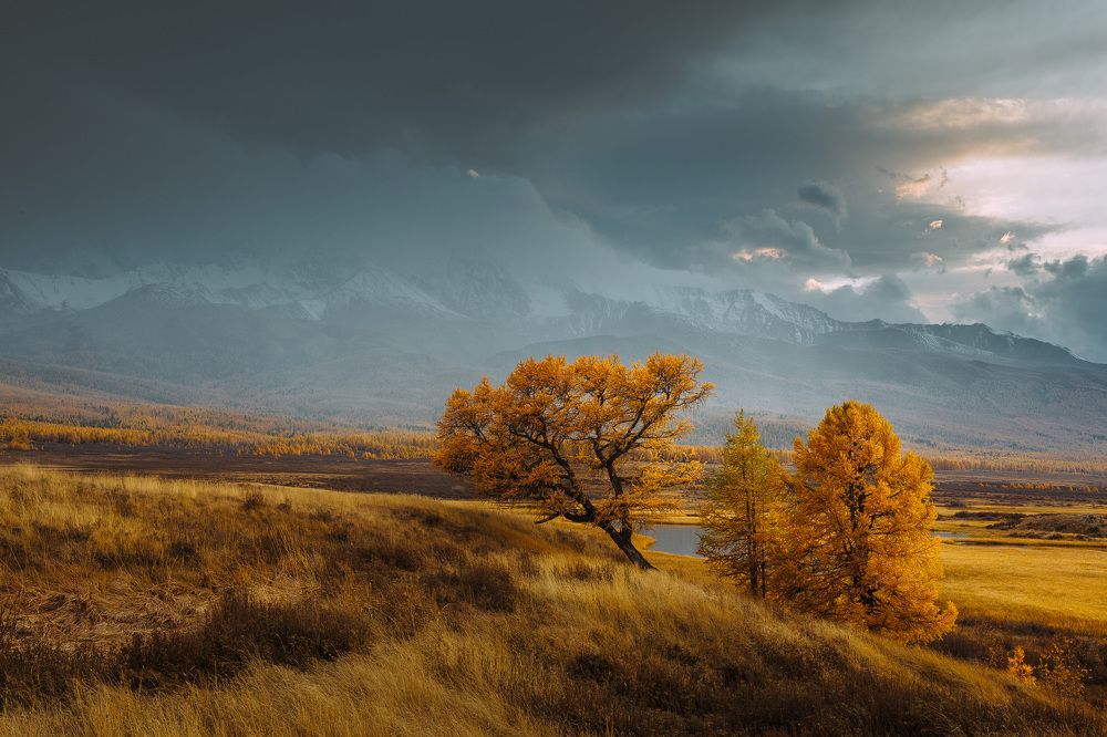 Photograph by Алексей Новиков