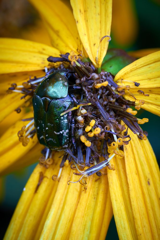 Photograph by Андрей Валерьевич