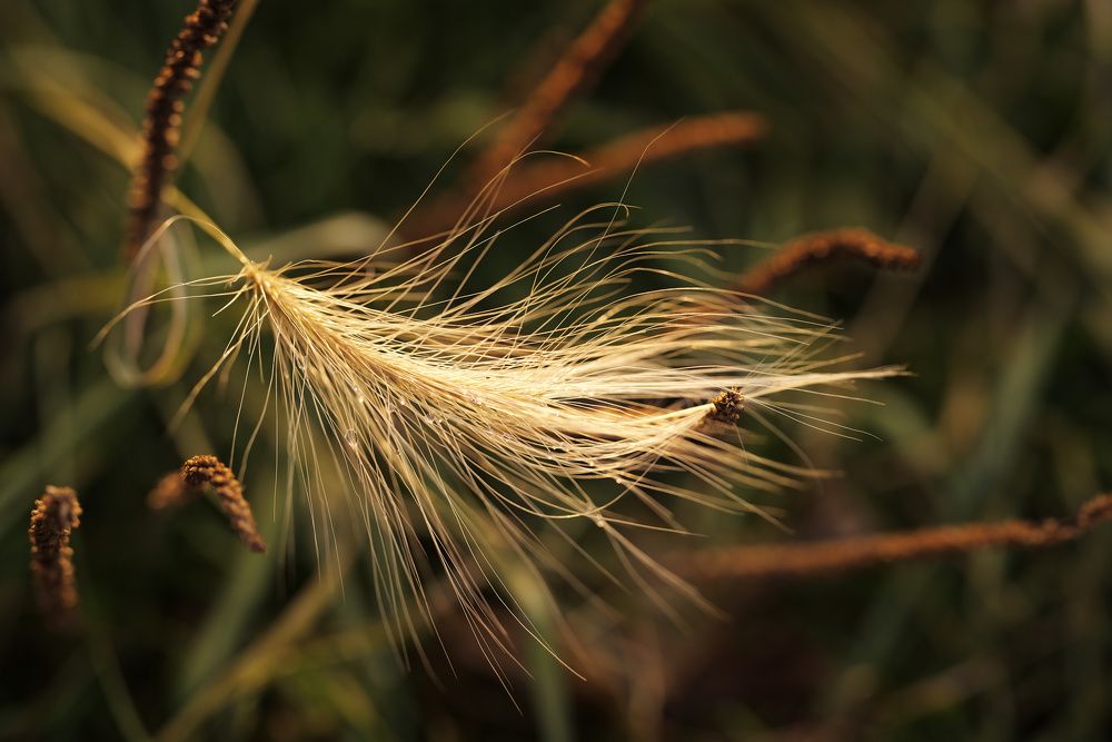 Photograph by Татьяна