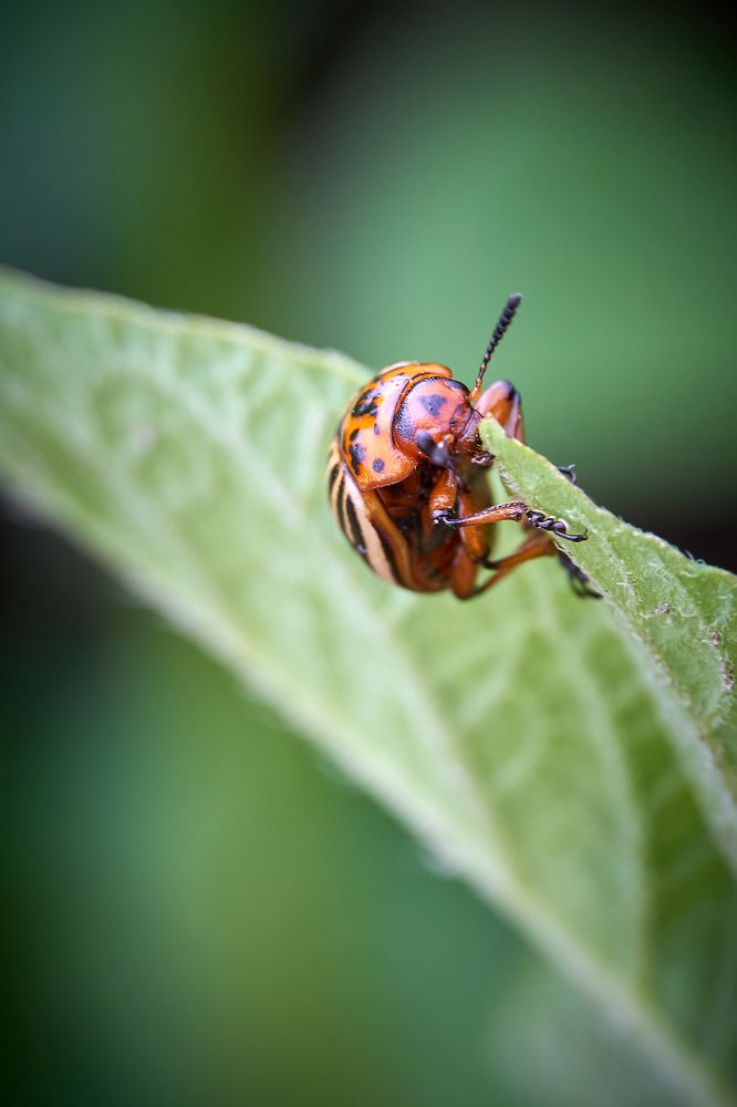 Photograph by Андрей Валерьевич