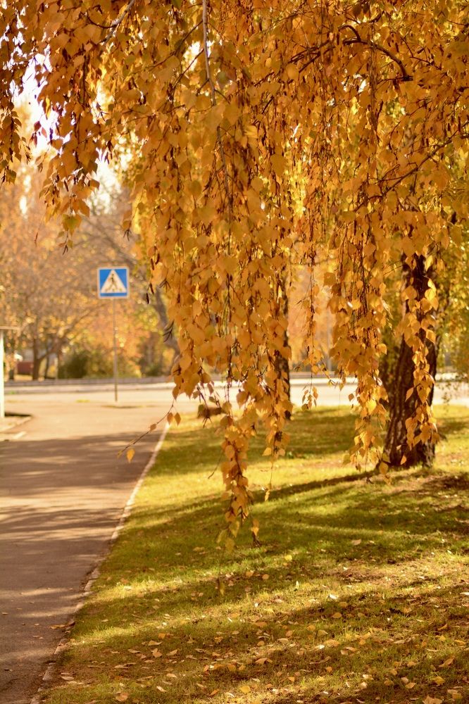 Photograph by Елена Клочкова