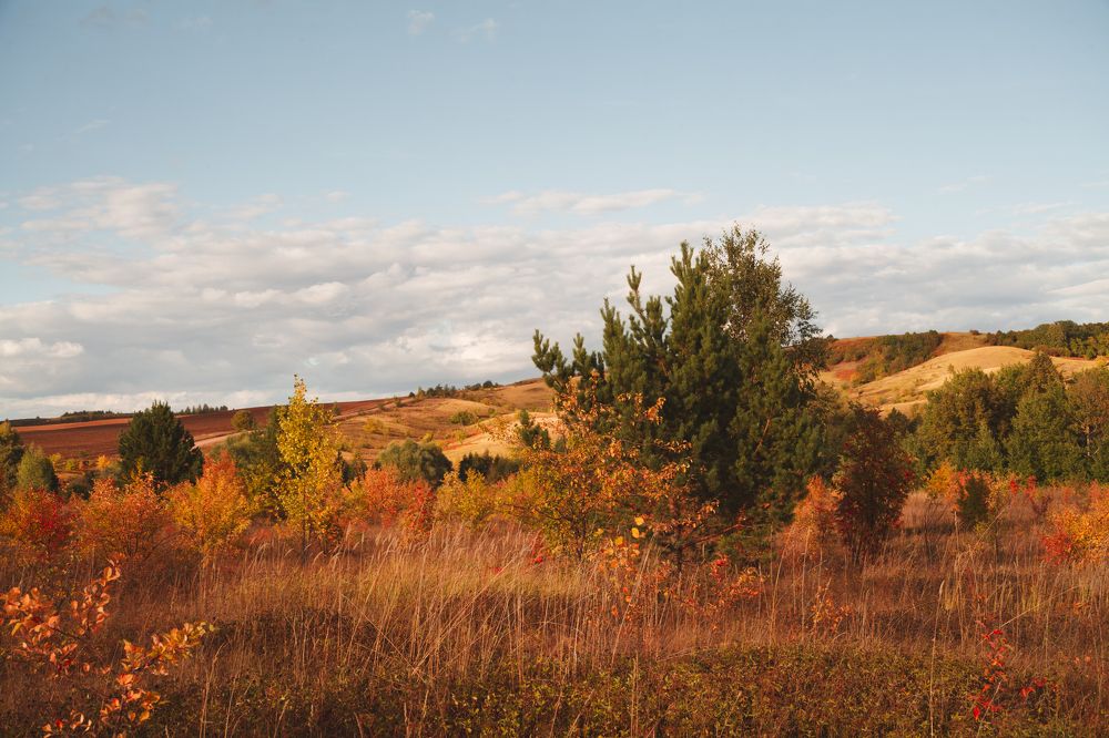 Photograph by Elena Dementova