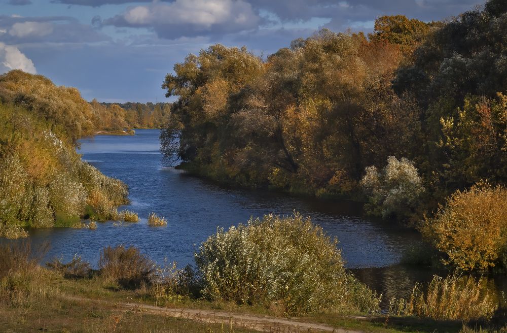 Протока Волотова на реке Сож.