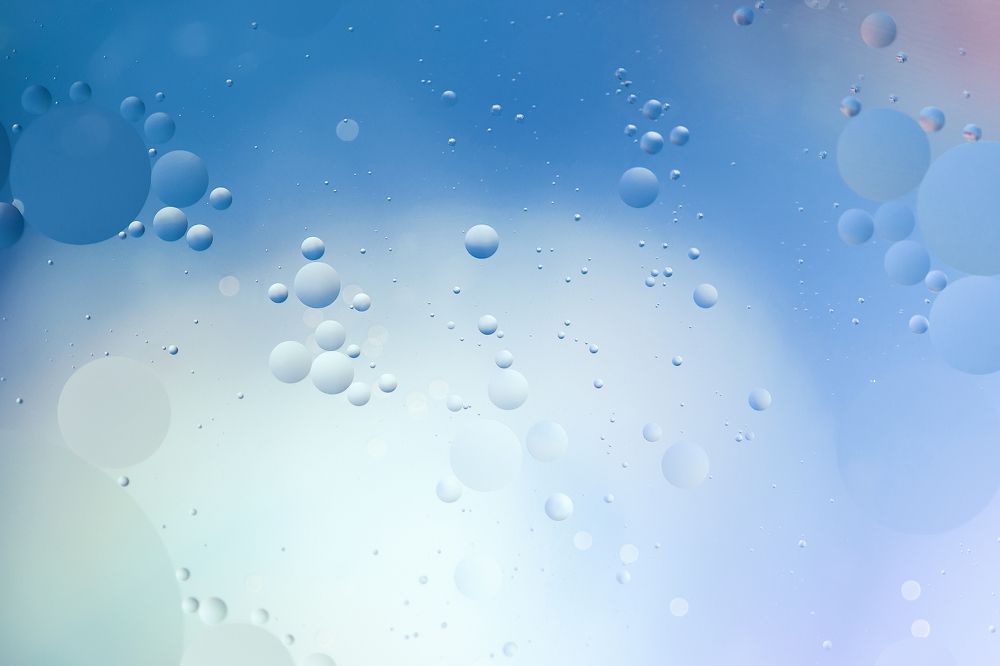 Фотография автора Елена Ельшина