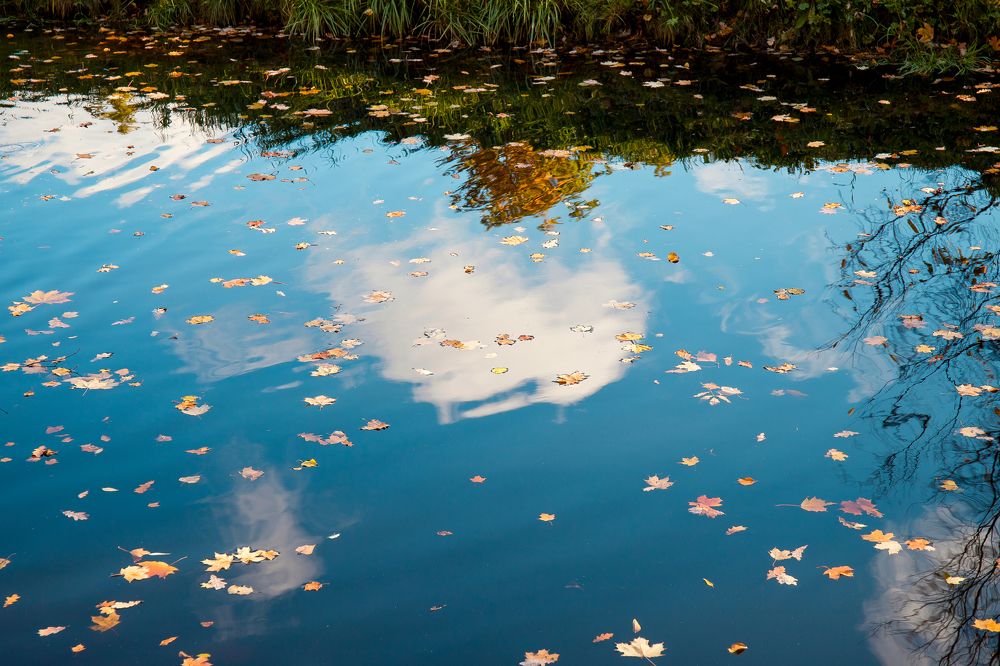 Фотография автора Елена Ельшина