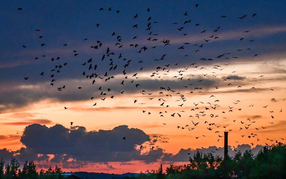 Photograph by Олег Волков