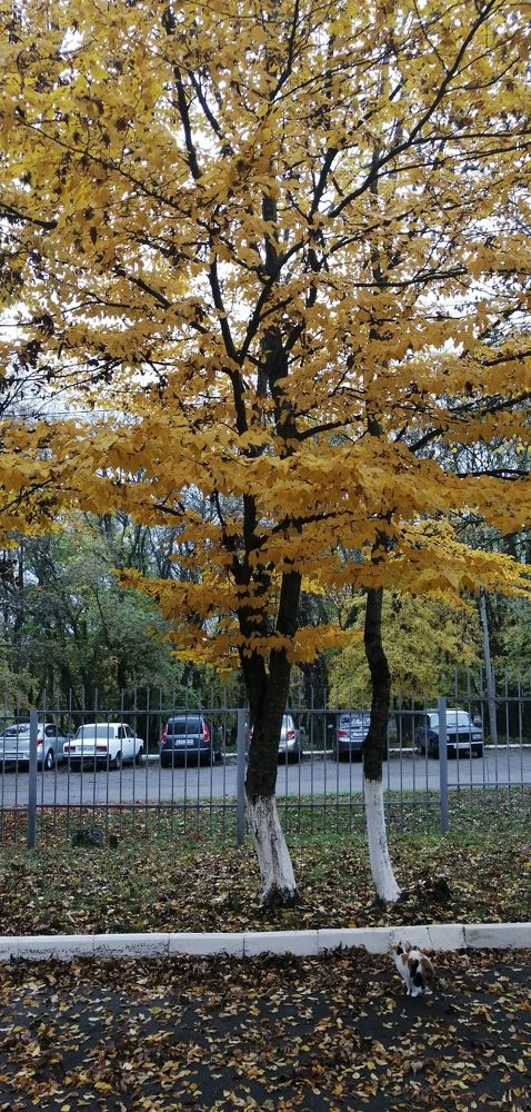 Photograph by Мила Мит