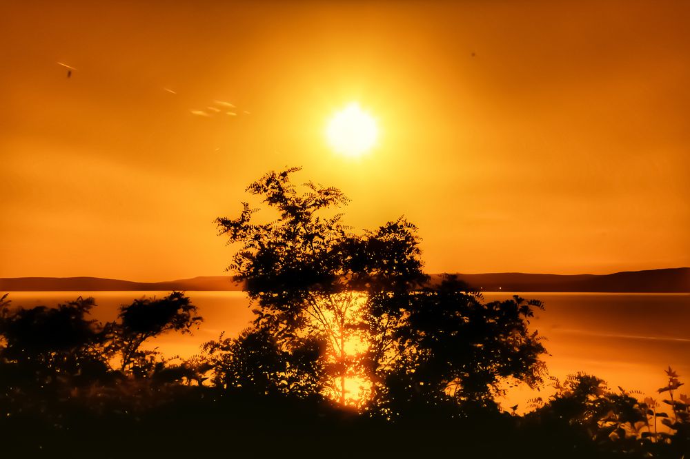 Фотография автора Nomin Jerabek