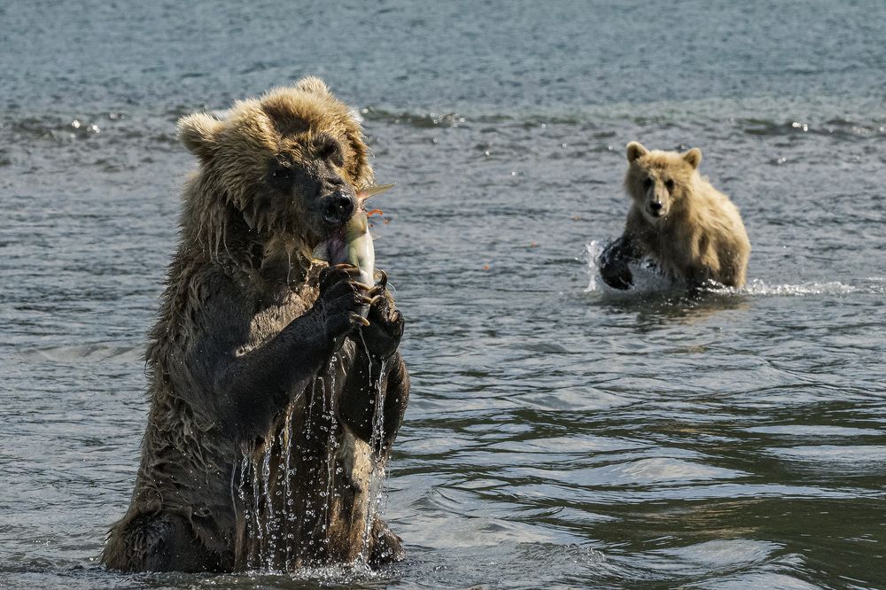 Мамин завтрак