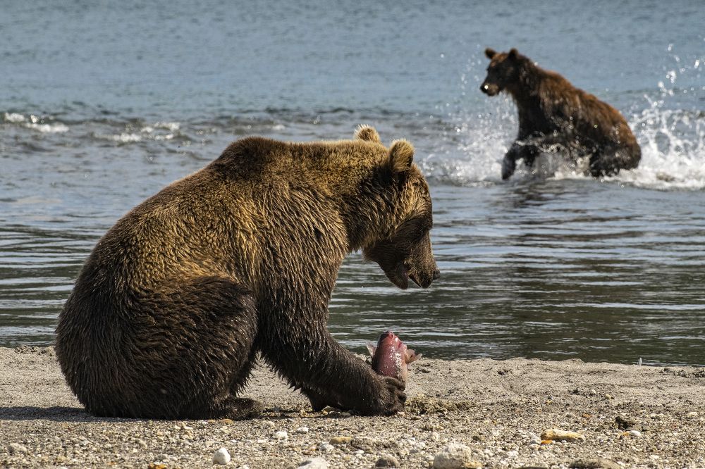 Курильские рыбаки
