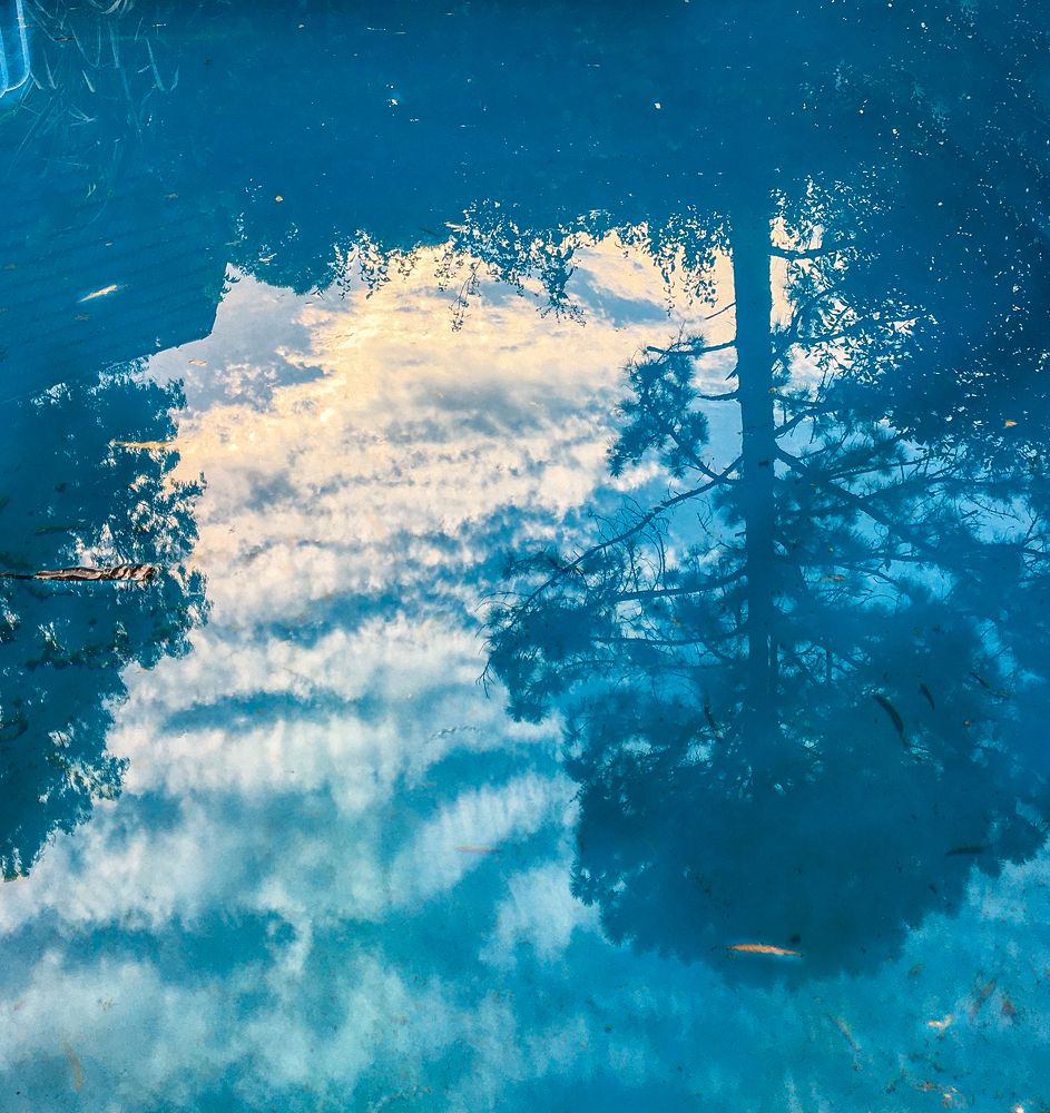 Photograph by Viviana García