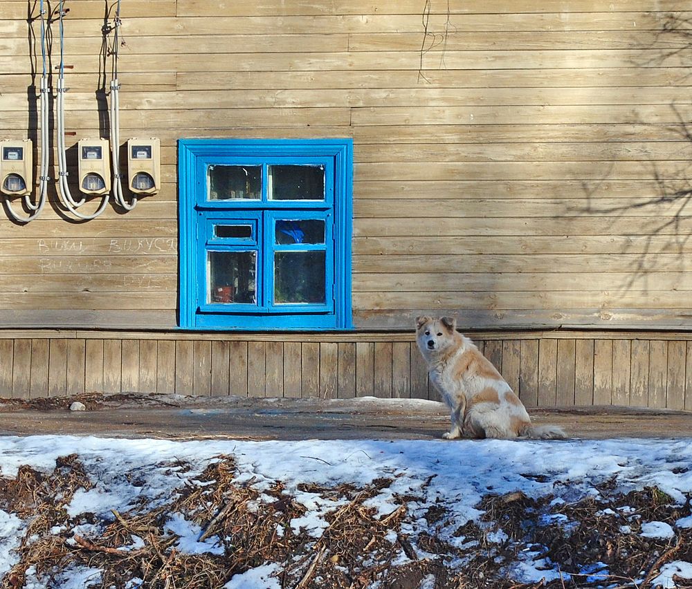 Photograph by Алексей