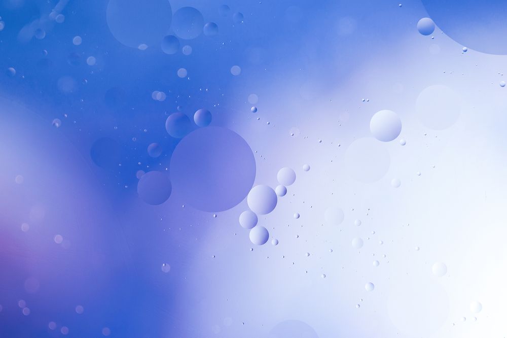 Фотография автора Елена Ельшина