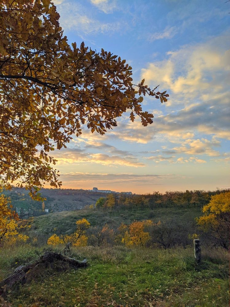 Фотография автора Наталья Синицына