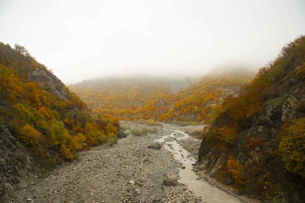 Photograph by Vision Sallys