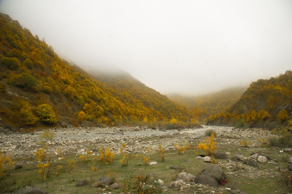 Photograph by Vision Sallys