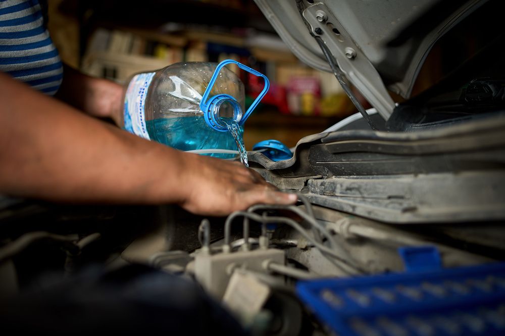 Photograph by Татьяна