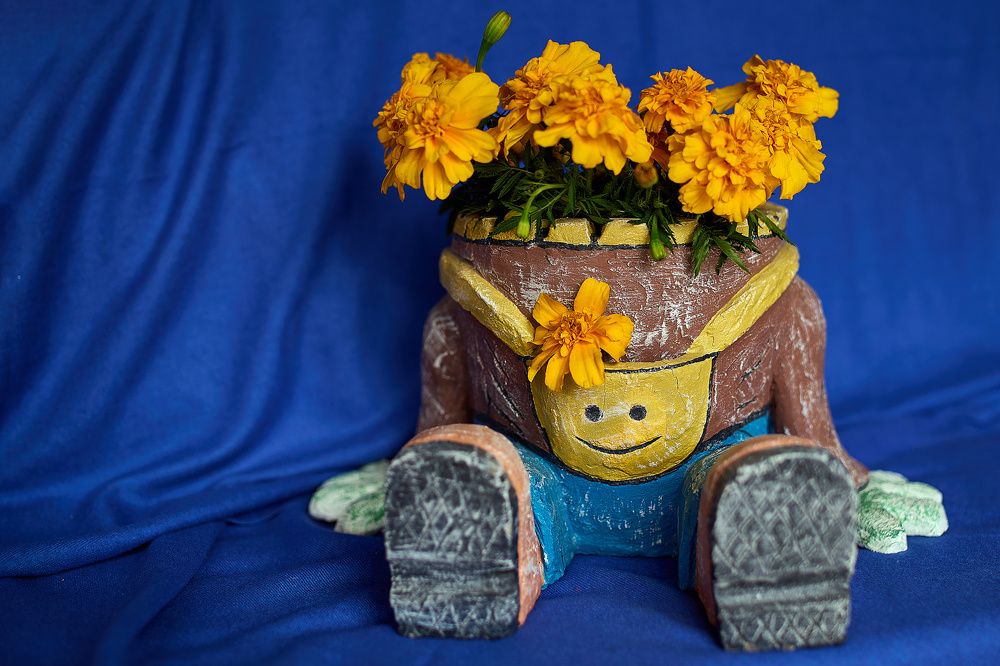 Photograph by Татьяна