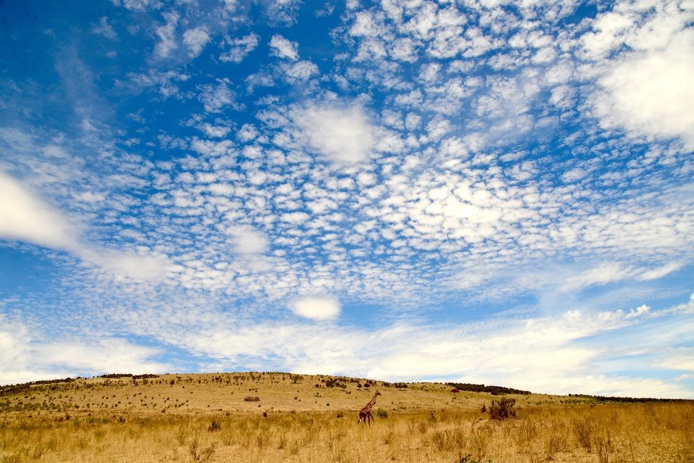 Alone with the clouds