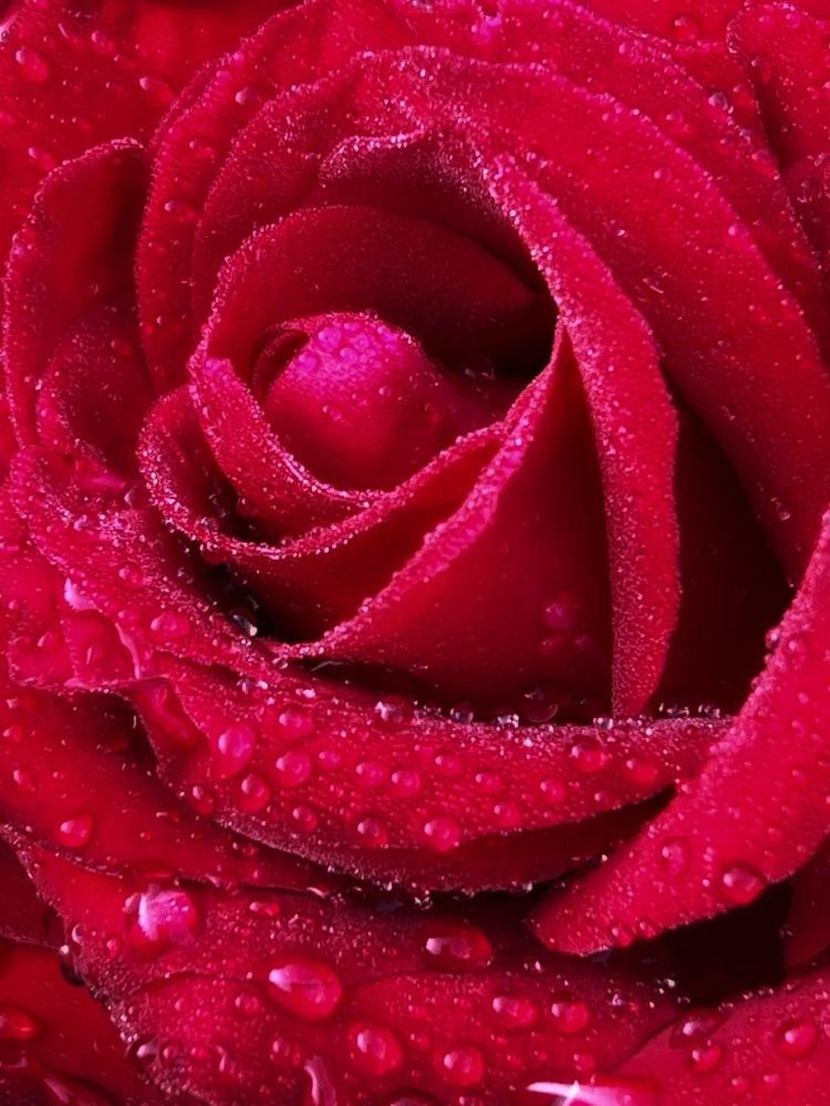 Photograph by Ольга Скиба