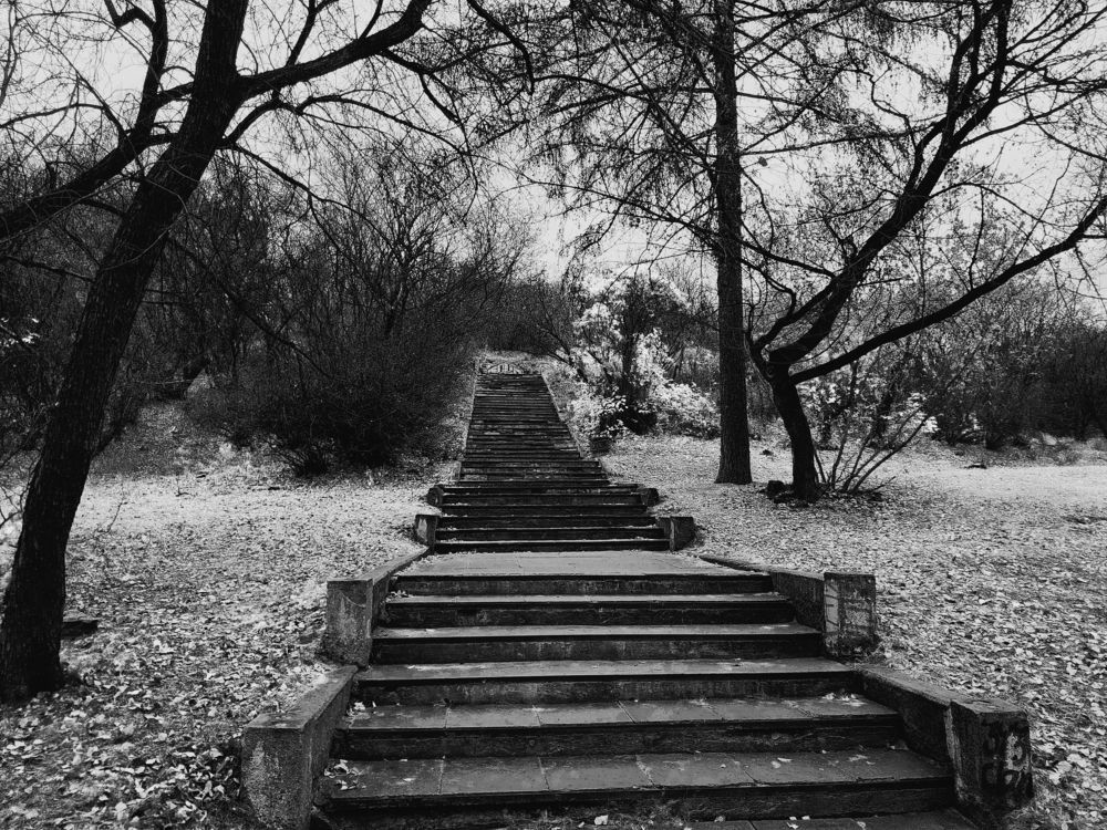 Photograph by Баженова Наталья