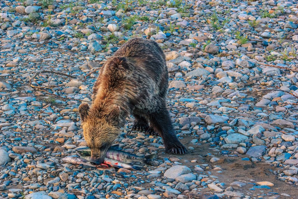 Photograph by Галина Искандарова