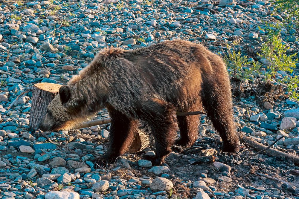 Photograph by Галина Искандарова