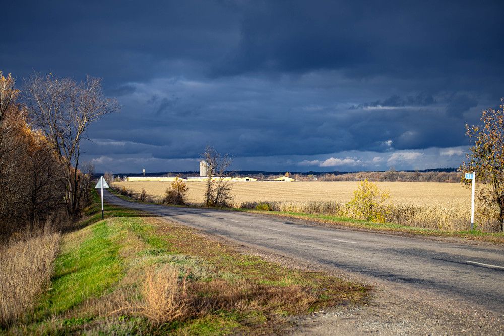 Фотография автора Миша Тараниченко