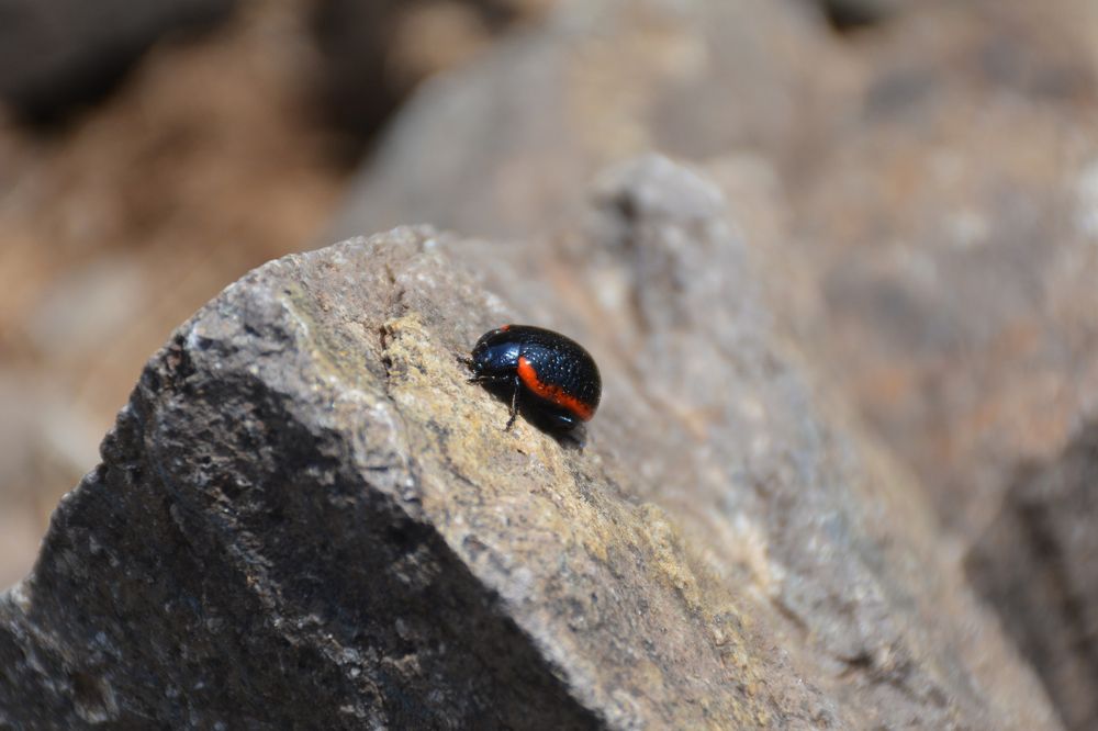 Photograph by Mohammad Amin Ghaffari